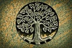 The word Anisa refers to an ancient symbol meaning the “Tree of Life.” it represents the concept of continuous growth and fruition in the context of shelter and protection. It is also an acronym for the American National Institute for social advancement.